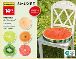 Biedronka Poduszka do siedzenia oferta