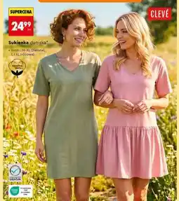 Biedronka Sukienka damska oferta