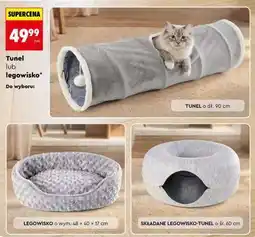Biedronka Tunel lub legowisko oferta
