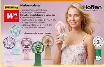 Biedronka Miniwentylator oferta