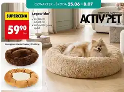 Biedronka Legowisko oferta