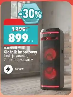 Biedronka Głośnik imprezowy oferta