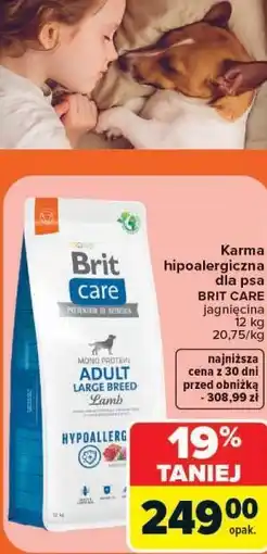 Carrefour Karma hipoalergiczna dla psa Brit Care jagnięcina oferta
