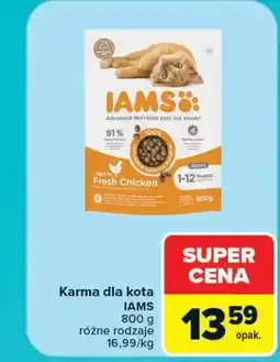 Carrefour Karma dla kota IAMS oferta