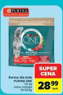 Carrefour Karma dla kota PURINA ONE oferta