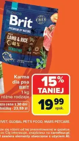 Carrefour Karma dla psa Brit oferta