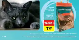 Carrefour Żwirek bentonitowy dla kota oferta
