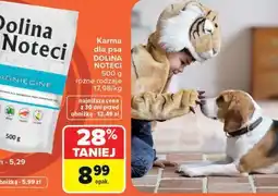 Carrefour Karma dla psa DOLINA NOTECI oferta