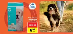 Carrefour Maty chłonne Carrefour oferta