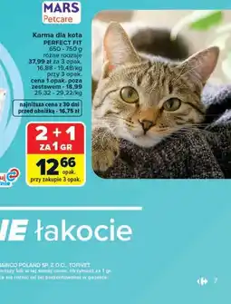 Carrefour Karma dla kota PERFECT FIT oferta