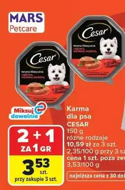 Carrefour Karma dla psa Cesar teryna klasyczna z wołowiną i wątróbką oferta