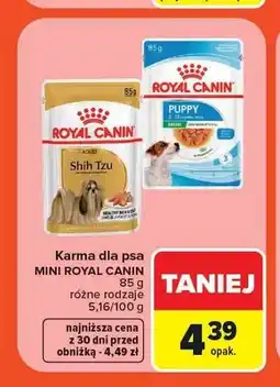 Carrefour Karma dla psa Royal Canin Shih Tzu Adult oferta