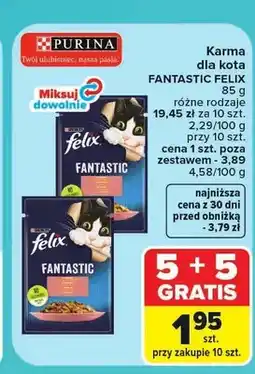 Carrefour Karma dla kota Felix Fantastic oferta