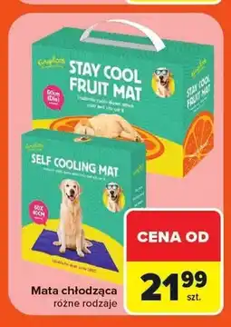 Carrefour Mata chłodząca dla psa i kota oferta