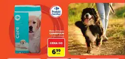 Carrefour Maty chłonne Carrefour Care oferta