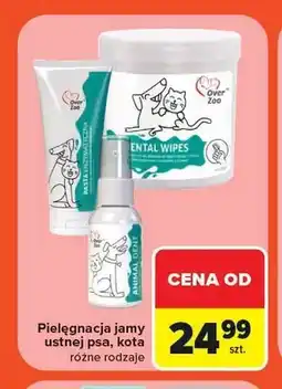 Carrefour Pasta enzymatyczna do zębów dla psa i kota Over Zoo oferta