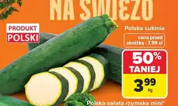 Carrefour Cukinia Polska oferta