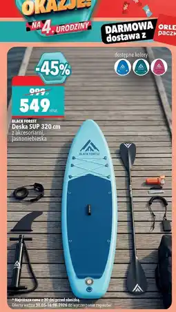Biedronka Deska SUP 320 cm z akcesoriami, jasnoniebieska oferta