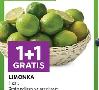 Stokrotka Limonka oferta