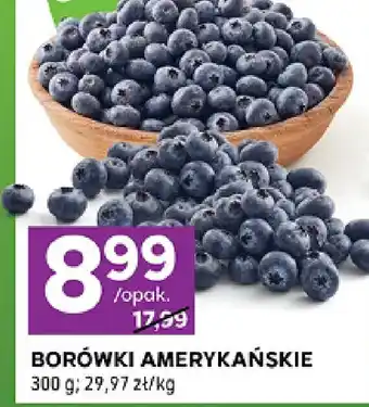 Stokrotka Borówki amerykańskie oferta