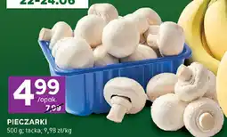 Stokrotka Pieczarki oferta
