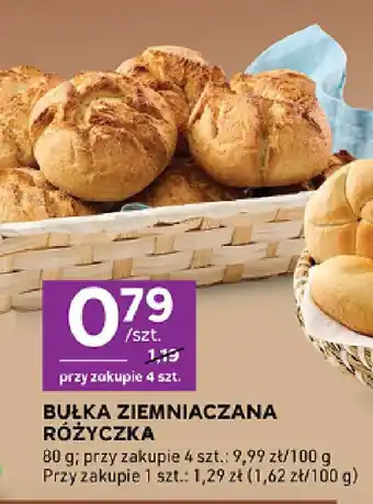 Stokrotka Bułka ziemniaczana różyczka oferta