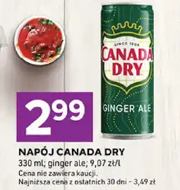 Stokrotka Napój Canada Dry oferta