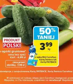 Carrefour Polskie ogórki gruntowe oferta