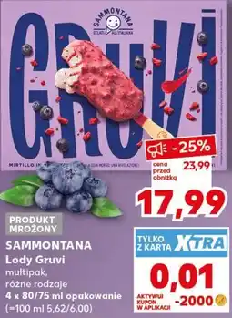 Kaufland SAMMONTANA Lody Gruvi multipak oferta