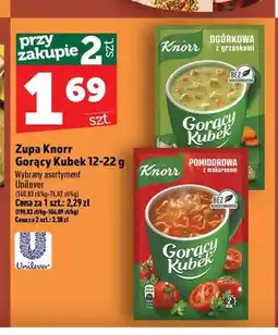 Topaz Zupa Gorący Kubek ogórkowa z grzankami Knorr oferta