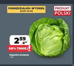 Netto Kapusta wczesna polska oferta