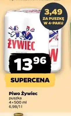 Netto Piwo Żywiec 4-pak oferta