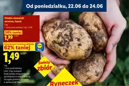 Lidl Ziemniaki wczesne luzem polskie oferta