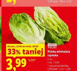 Lidl Minisałata rzymska polska 2-pak oferta