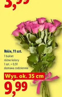 Lidl Róże 11-pak oferta