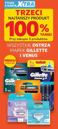 Kaufland Wszystkie ostrza Gilette i Venus oferta
