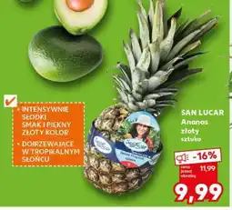Kaufland SAN LUCAR Ananas złoty sztuka oferta
