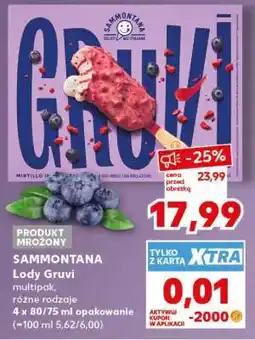 Kaufland SAMMONTANA Lody Gruvi oferta