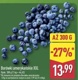 ALDI Borówki amerykańskie oferta