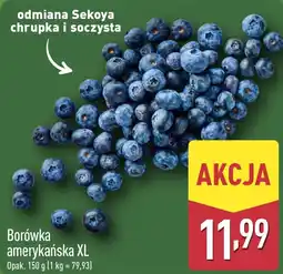 ALDI Borówka amerykańska oferta