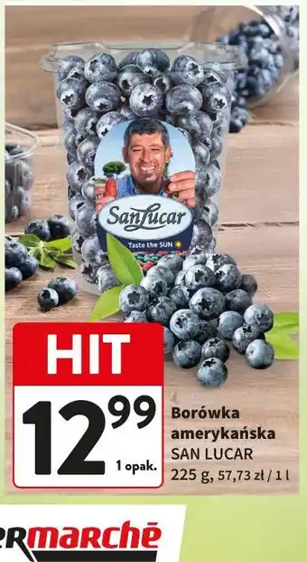 Borówka amerykańska SAN LUCAR