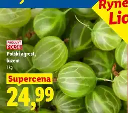 Lidl Polski agrest, luzem oferta