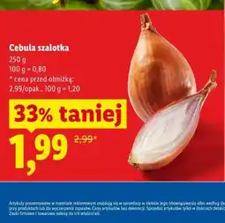 Lidl Cebula szalotka oferta