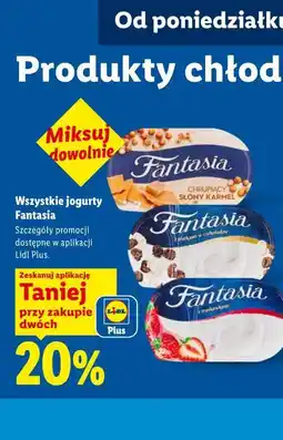 Lidl Jogurt Fantasia oferta