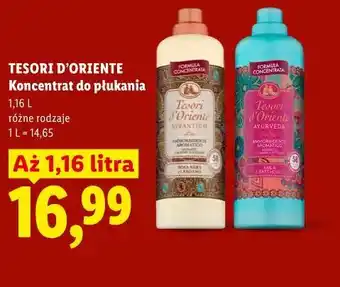 Lidl TESORI D'ORIENTE Koncentrat do płukania oferta