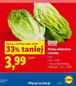 Lidl Polska minisałata rzymska oferta