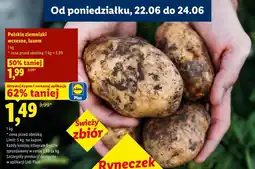 Lidl Polskie ziemniaki wczesne, luzem oferta