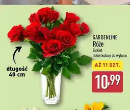 ALDI Bukiet róż Gardenline 11-pak oferta