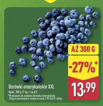 ALDI Borówki amerykańskie XXL oferta
