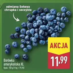 ALDI Borówka amerykańska XL oferta